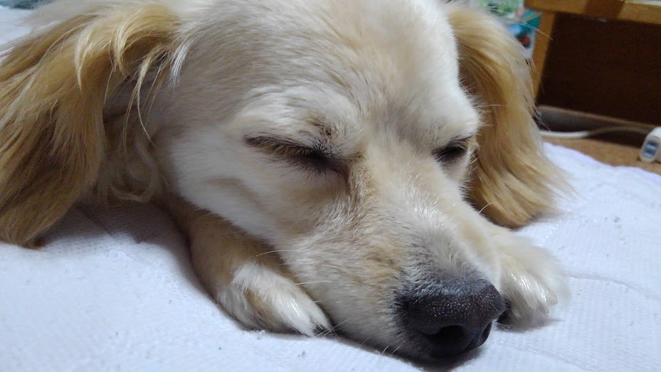 ZZZ....
